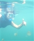 Playing with jelly fish inside the blue sea