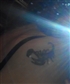 Tattoo On my left back shoulder