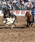Roping in Tuscon Rodeo