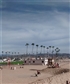 californiagalusa california scenery palm trees beaches hotels fun everyday living