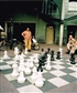 chess at amsterdam