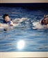 Swim with Dolphins Mexico 2013