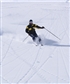 Powder skiing in Austria