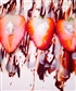 Desert white choclate strawberries Foloow me On instagram jonas gade01