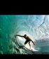 hurdjay Dry big sense of humor Surfer Educated Handsome Ocean lover athletic