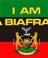 aguy4love IN biafria we stand