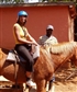 Horse riding in Drakensberg