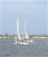 SailFishBiloxi F U N Water Sports Working Out Travel