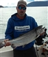 Yeah baby first king salmon of the year Only had it in the water for three minutes and bam 16 lb King