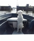 My doggie Chico touring with me in the boat