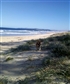 Me dog at beach where I go camping