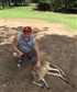Australia November 2017 Kangaroo time