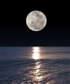 the moon the ocean the night