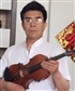 gogobb violinist