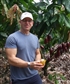 Cocoa Plantation Brazil