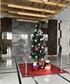 Christmas tree in my Office Lobby