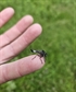 This baby dragonfly landed on me during a recent hike I make time for all of nature big and small
