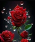 Halim9994yr64753 The most important thing is loyalty and sincerity in love without greed and I love to continue and