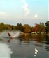 Water skiing last fall