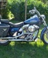Harley28