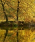 Autumn on a Lake near by