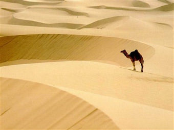 TRAVEL IN THE SAHARA DESERT.
