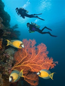 TRY SCUBA DIVING.